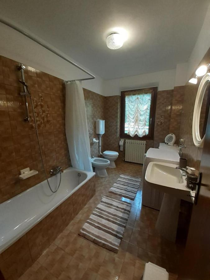 Ca' Albano Apartman Mezzolago Kültér fotó